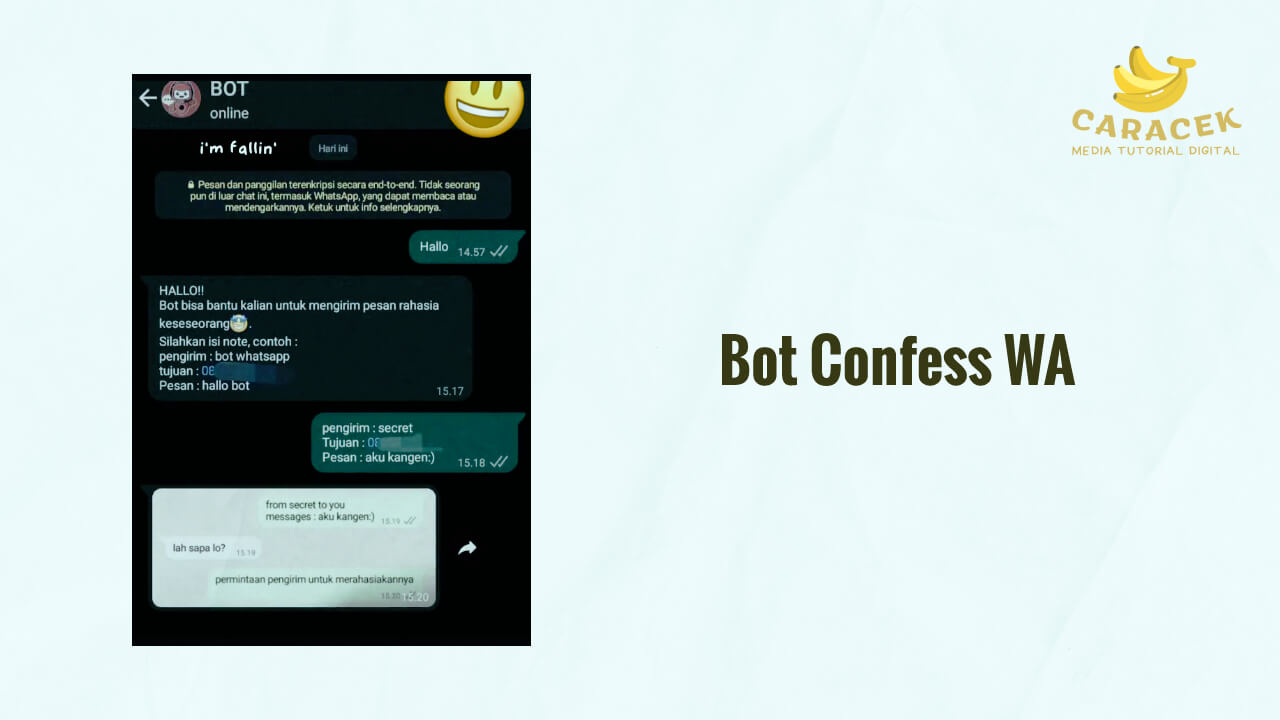 Bot Confess WA