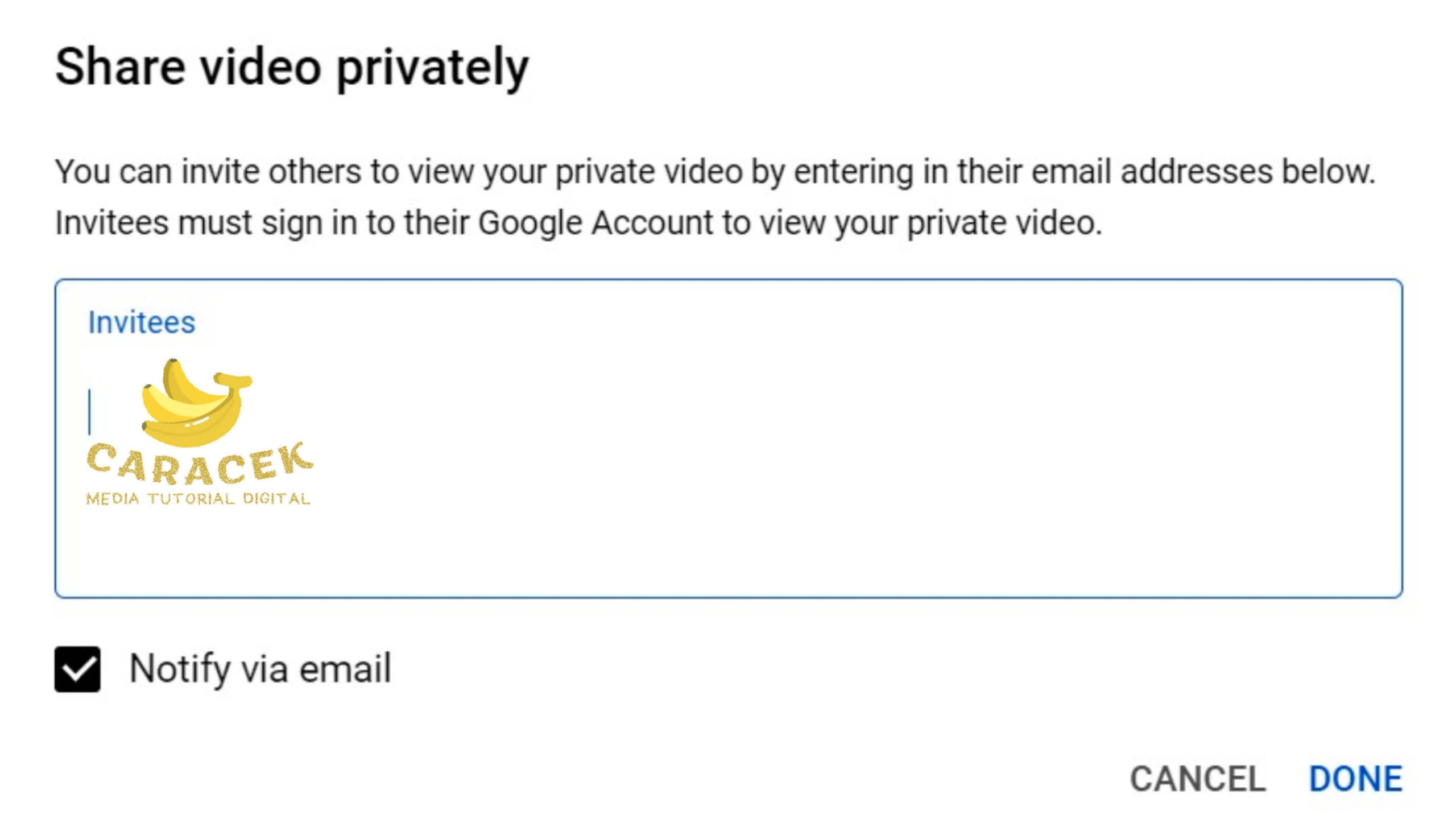 Layanan Private Video YouTube