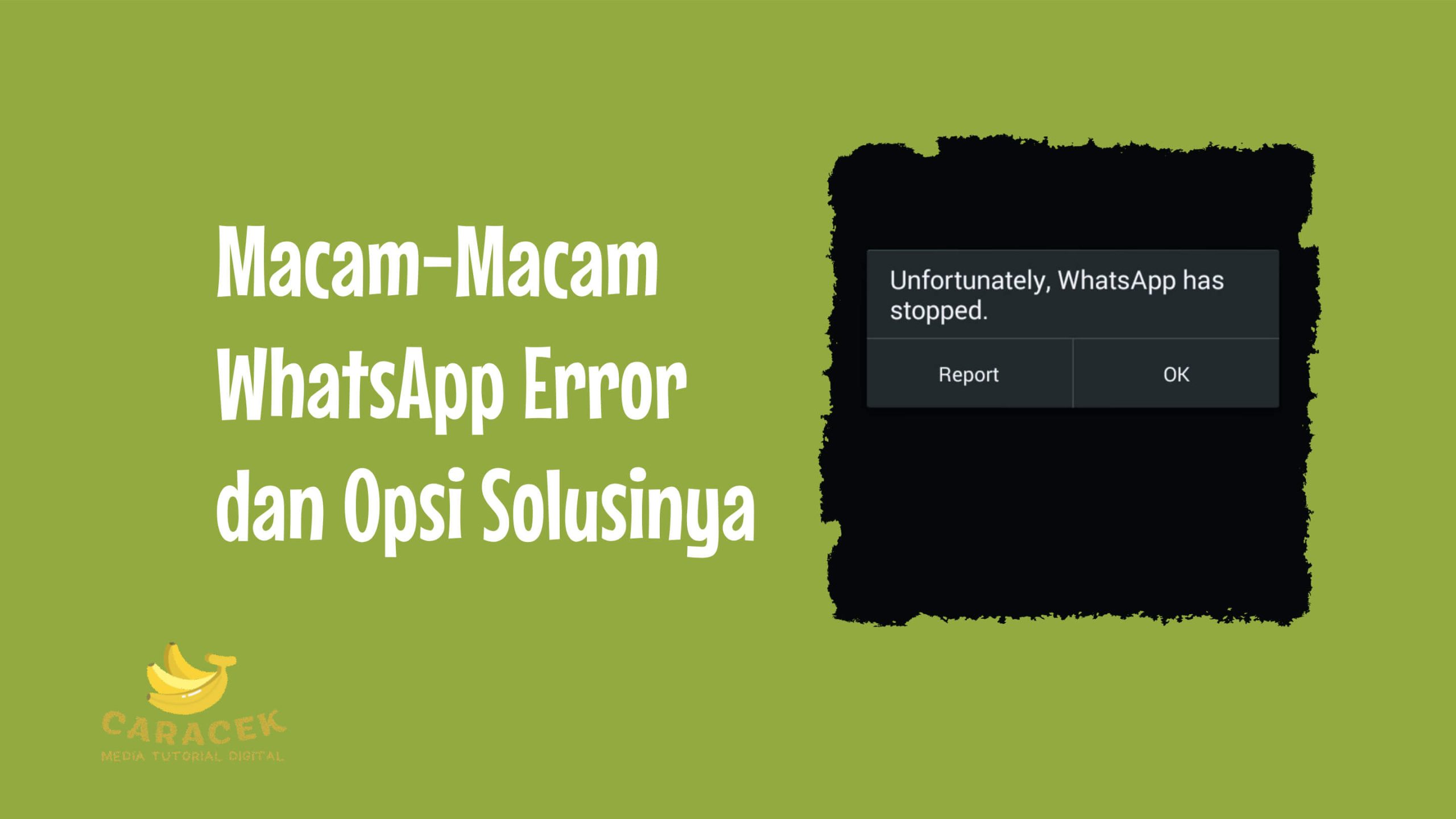 WhatsApp Error