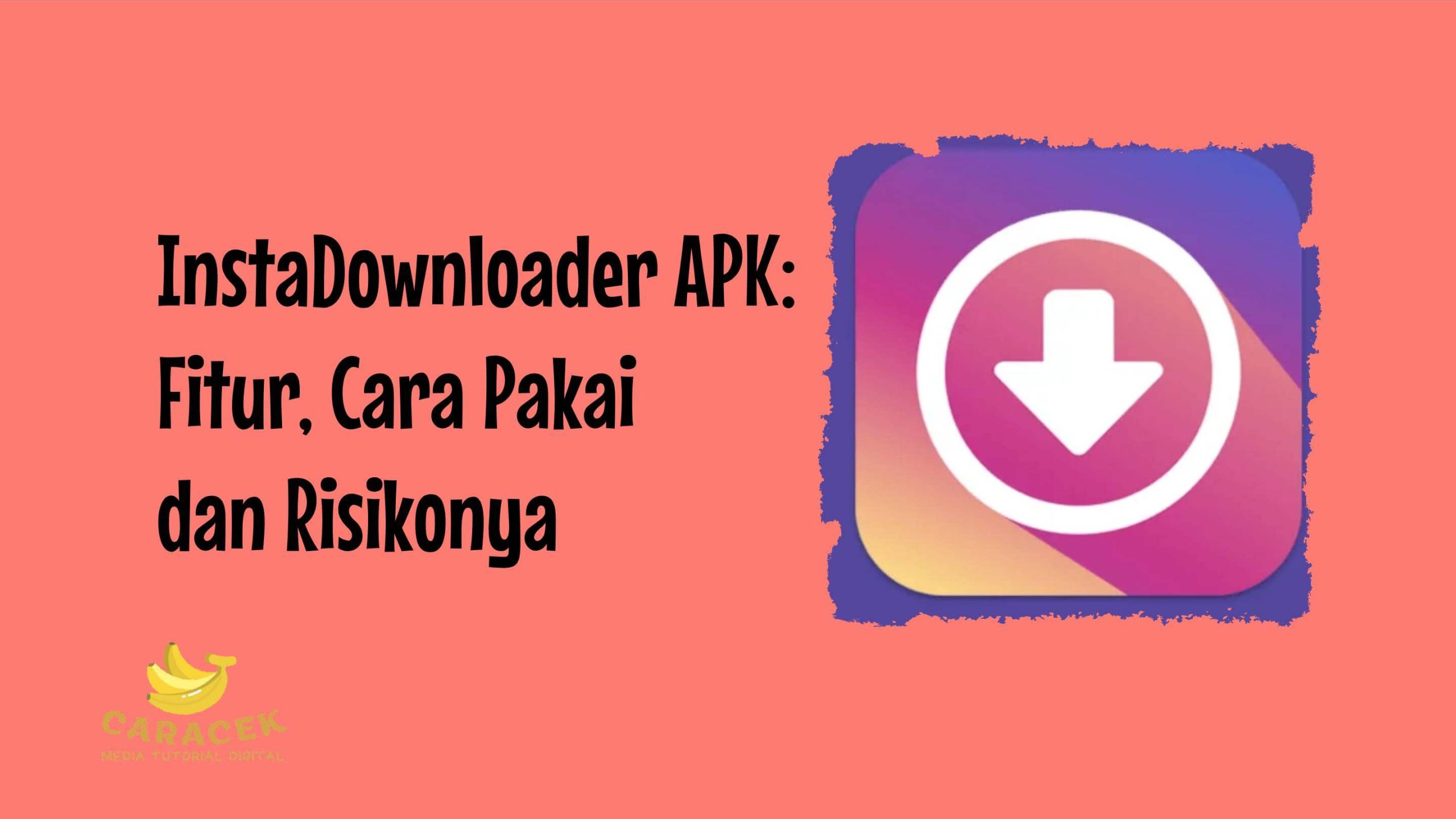 InstaDownloader APK